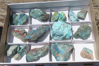 Natural Shattuckite With Chrysocolla & Malachite Specimens x 16 From Namibia