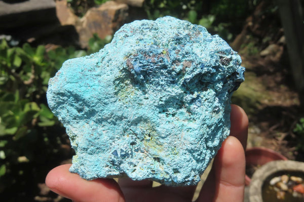 Natural Shattuckite With Chrysocolla & Malachite Specimens x 16 From Namibia