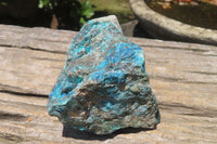 Natural Shattuckite With Chrysocolla & Malachite Specimens x 16 From Namibia