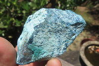 Natural Shattuckite With Chrysocolla & Malachite Specimens x 16 From Namibia