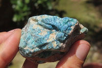 Natural Shattuckite With Chrysocolla & Malachite Specimens x 16 From Namibia