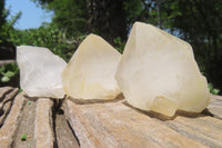 Natural Quartz Crystal Specimens x 24 From Madagascar