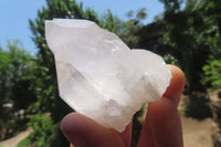 Natural Quartz Crystal Specimens x 24 From Madagascar