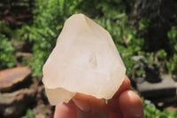 Natural Quartz Crystal Specimens x 24 From Madagascar