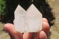 Natural Quartz Crystal Specimens x 24 From Madagascar