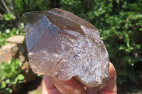 Natural Smokey Quartz Crystals x 3 From Zomba, Malawi