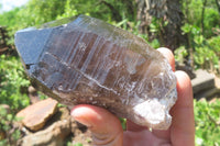 Natural Smokey Quartz Crystals x 3 From Zomba, Malawi