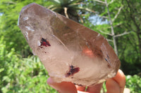 Natural Smokey Quartz Crystals x 3 From Zomba, Malawi