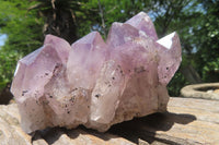 Natural Jacaranda Amethyst Quartz Clusters x 2 from Mumbwa, Zambia