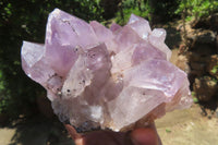 Natural Jacaranda Amethyst Quartz Clusters x 2 from Mumbwa, Zambia