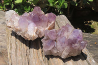 Natural Jacaranda Amethyst Quartz Clusters x 2 from Mumbwa, Zambia