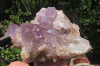 Natural Jacaranda Amethyst Quartz Clusters x 2 from Mumbwa, Zambia