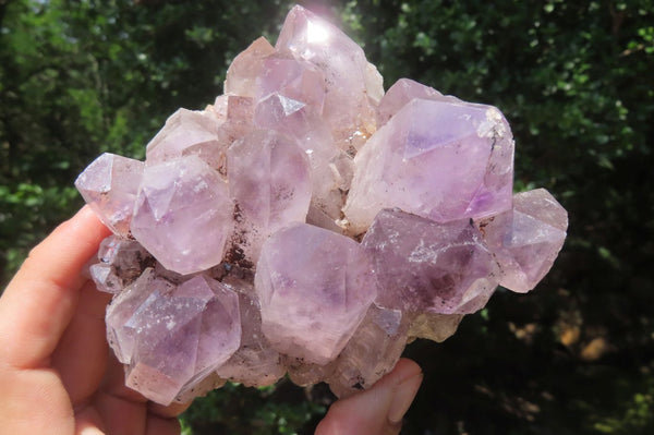 Natural Jacaranda Amethyst Quartz Clusters x 2 from Mumbwa, Zambia