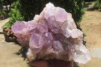 Natural Jacaranda Amethyst Quartz Clusters x 2 from Mumbwa, Zambia