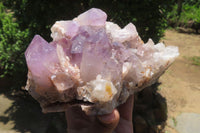 Natural Jacaranda Amethyst Quartz Clusters x 2 from Mumbwa, Zambia