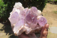 Natural Jacaranda Amethyst Quartz Clusters x 2 from Mumbwa, Zambia