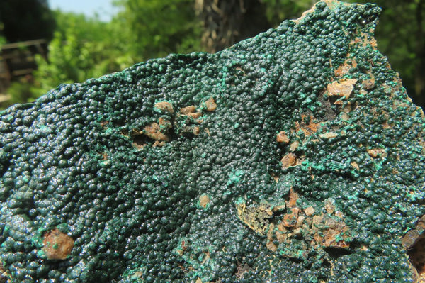 Natural Botryoidal Malachite Specimens x 3 From Tenke Fungurume, Congo