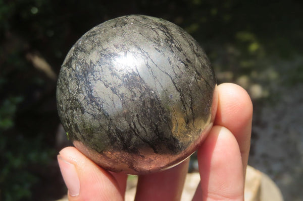 Polished Pharaoh Stone Spheres x 3 From Zimbabwe