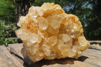 Natural Limonite Quartz Clusters x 12 From Solwezi, Zambia