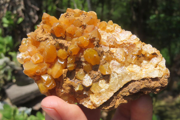 Natural Limonite Quartz Clusters x 12 From Solwezi, Zambia