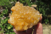 Natural Limonite Quartz Clusters x 12 From Solwezi, Zambia