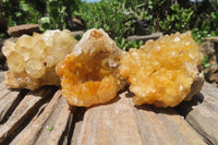 Natural Limonite Quartz Clusters x 12 From Solwezi, Zambia