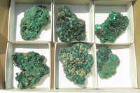 Natural Silky Malachite Specimens x 6 From Kasompe, Congo