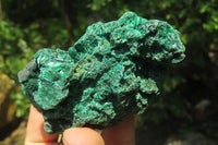 Natural Silky Malachite Specimens x 6 From Kasompe, Congo