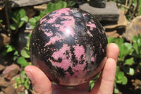 Polished Rhodonite Sphere x 1 From Madagascar