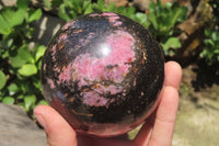 Polished Rhodonite Sphere x 1 From Madagascar