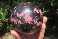 Polished Rhodonite Sphere x 1 From Madagascar