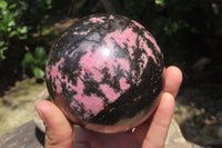 Polished Rhodonite Sphere x 1 From Madagascar