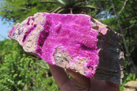 Natural Salrose Cobaltion Dolomite Specimens x 2 From Kakanda, Congo