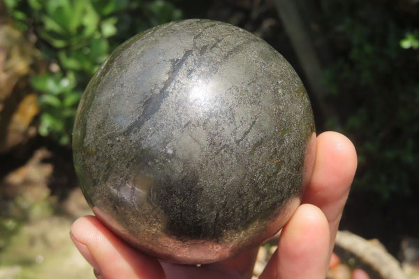 Polished Pharaoh Stone Spheres x 3 From Zimbabwe