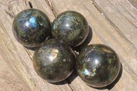 Polished Labradorite Spheres x 4 From Tulear, Madagascar