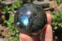 Polished Labradorite Spheres x 4 From Tulear, Madagascar