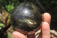 Polished Labradorite Spheres x 4 From Tulear, Madagascar