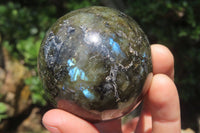 Polished Labradorite Spheres x 4 From Tulear, Madagascar