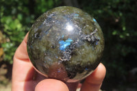 Polished Labradorite Spheres x 4 From Tulear, Madagascar