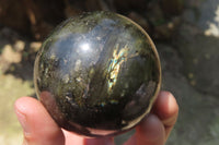 Polished Labradorite Spheres x 4 From Tulear, Madagascar