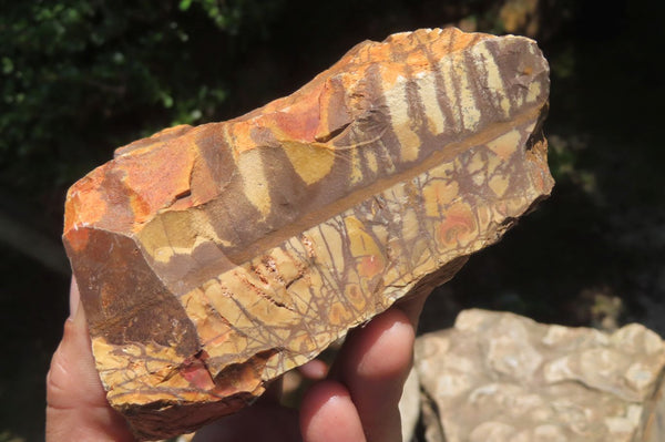 Natural Nguni Jasper Cobbed Specimens x 3 From Prieska, South Africa