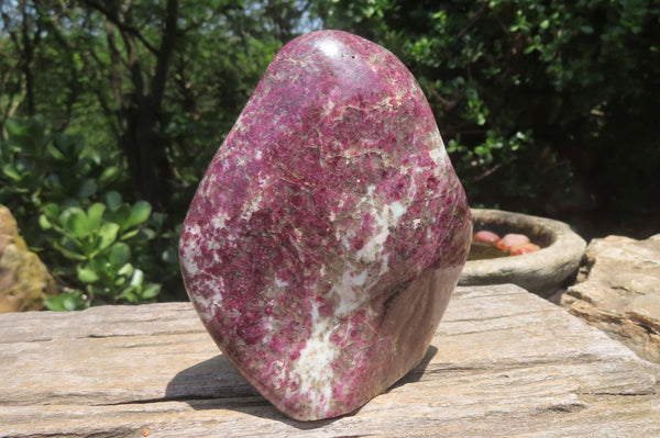 Polished Rubellite Pink Tourmaline Standing Free Form x 1 From Ambatondrazaka, Madagascar