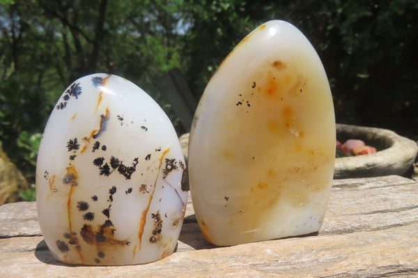 Polished Dendritic Agate Standing Free Forms x 5 From Madagascar