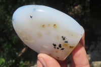 Polished Dendritic Agate Standing Free Forms x 5 From Madagascar