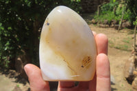 Polished Dendritic Agate Standing Free Forms x 5 From Madagascar