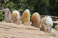 Polished Dendritic Agate Standing Free Forms x 5 From Madagascar