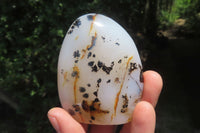 Polished Dendritic Agate Standing Free Forms x 5 From Madagascar