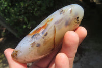 Polished Dendritic Agate Standing Free Forms x 5 From Madagascar