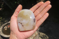 Polished Dendritic Agate Standing Free Forms x 5 From Madagascar