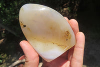 Polished Dendritic Agate Standing Free Forms x 5 From Madagascar